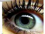 WS S NewMot Aufpro 16:10 290x181 cm, HomeVision BE/BL 1.0 Gain